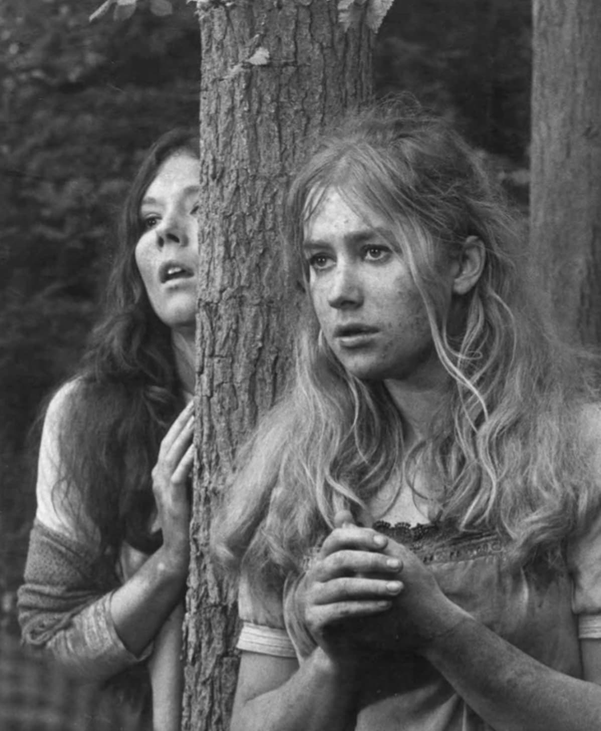 midsummer night's dream 1968